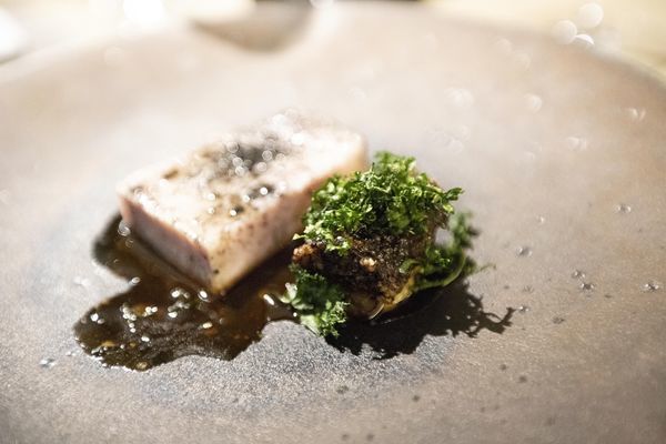 Impromptu by Paul Lee - 14