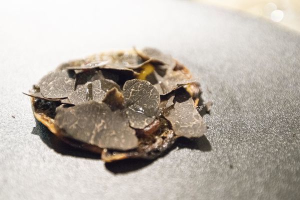 Impromptu by Paul Lee - 19