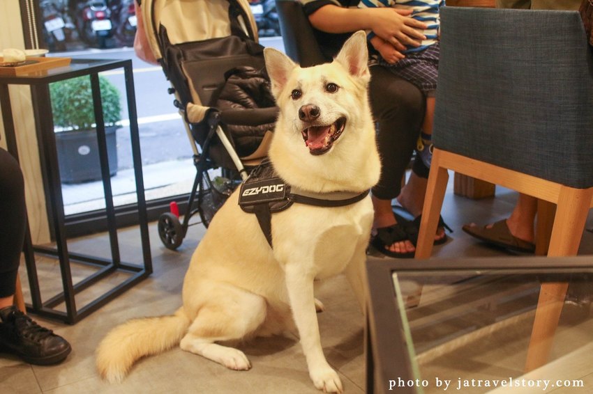 Free Form 自由式手作甜點 抹茶控必吃濃郁抹茶甜點! 寵物友善甜點餐廳推薦【捷運江子翠】板橋甜點/板橋美食 @J&A的旅行