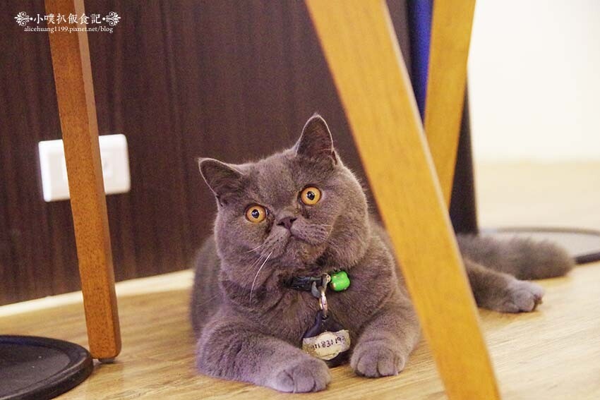 【中和咖啡廳推薦】『ZZZ Coffee Shops』近環狀線中和站/新開幕/圍繞復古相機、黑膠唱片的質感咖啡廳/照相