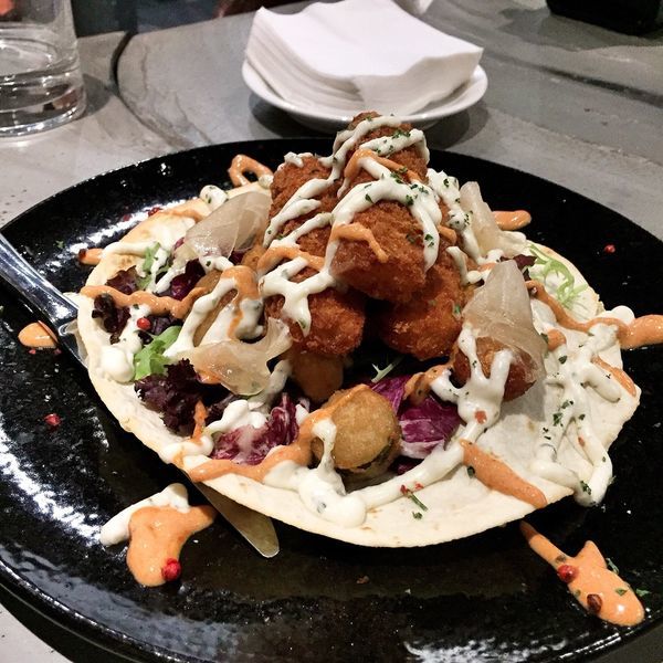 IMG_6731.JPG IMG_6731.JPG