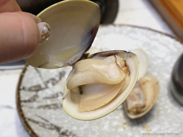 無双精緻鍋物海鮮冷藏肉專賣店:台中美食│無双精緻鍋物 冷藏肉海鮮專門店〃新鮮現撈活體海鮮就是讚!母親節優惠活動,平日享6折優惠~