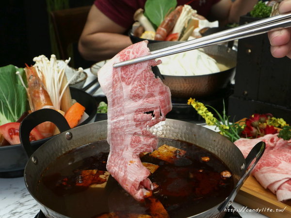 無双精緻鍋物海鮮冷藏肉專賣店:台中美食│無双精緻鍋物 冷藏肉海鮮專門店〃新鮮現撈活體海鮮就是讚!母親節優惠活動,平日享6折優惠~