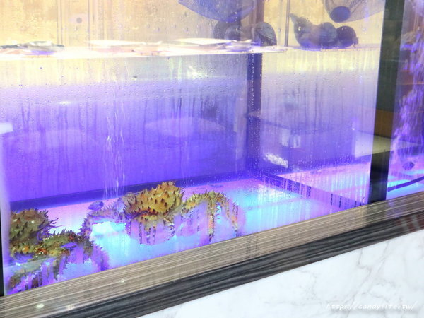 無双精緻鍋物海鮮冷藏肉專賣店:台中美食│無双精緻鍋物 冷藏肉海鮮專門店〃新鮮現撈活體海鮮就是讚!母親節優惠活動,平日享6折優惠~