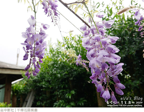 千樺花園餐廳-78.jpg 千樺花園餐廳-78.jpg