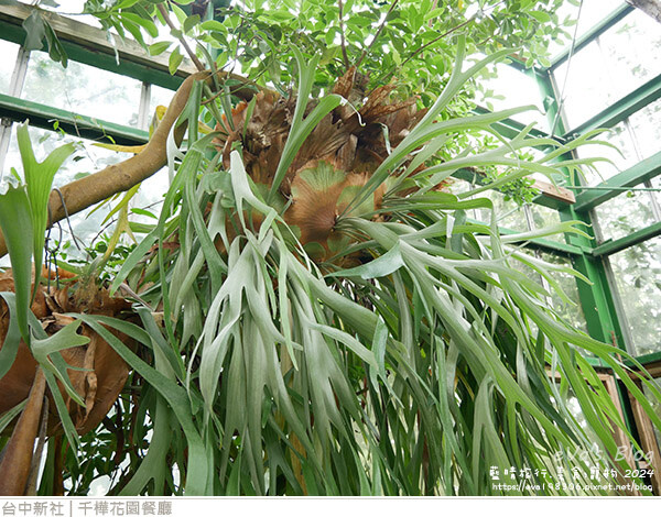 千樺花園餐廳-38.jpg 千樺花園餐廳-38.jpg