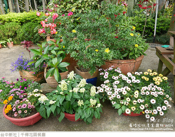 千樺花園餐廳-07.jpg 千樺花園餐廳-07.jpg