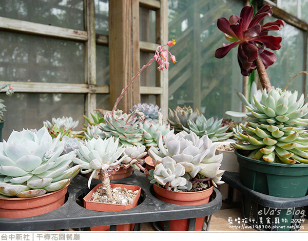 千樺花園餐廳-34.jpg 千樺花園餐廳-34.jpg