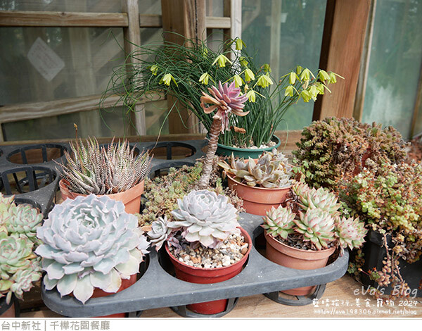 千樺花園餐廳-33.jpg 千樺花園餐廳-33.jpg