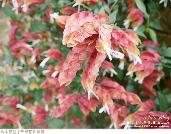 千樺花園餐廳-75.jpg 千樺花園餐廳-75.jpg