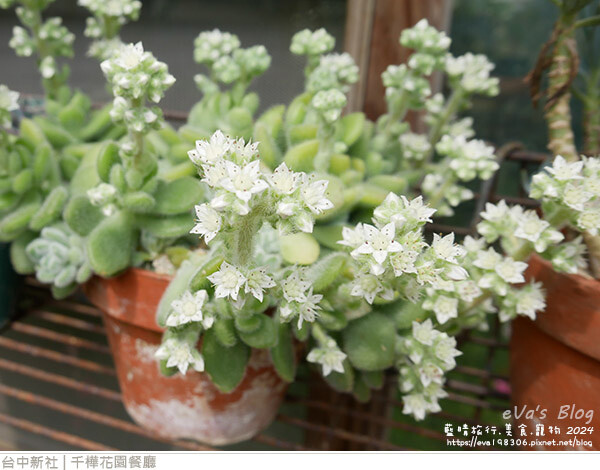 千樺花園餐廳-32.jpg 千樺花園餐廳-32.jpg