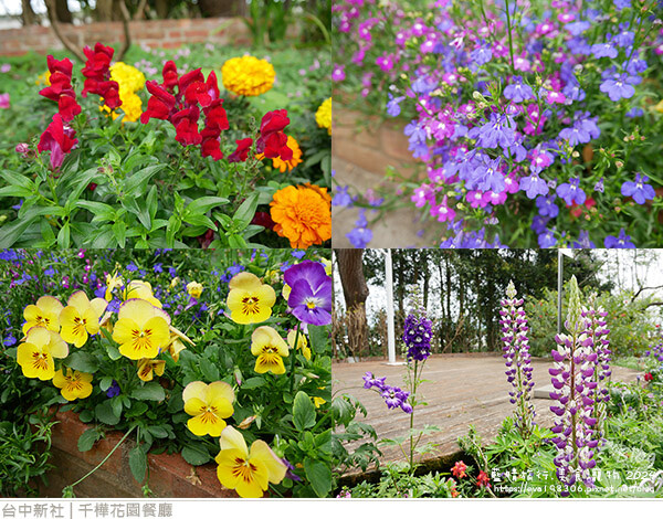 千樺花園餐廳-25.jpg 千樺花園餐廳-25.jpg