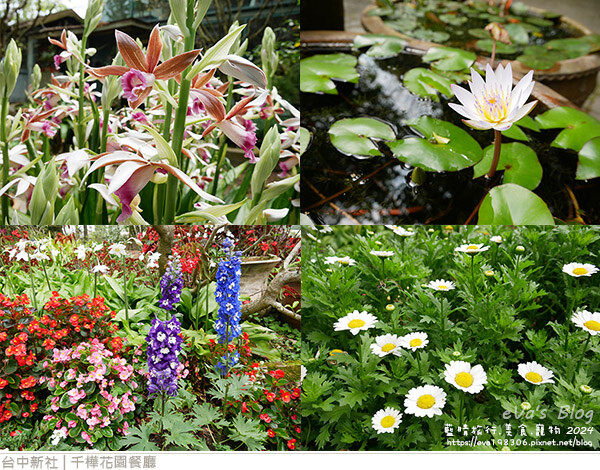 千樺花園餐廳-24.jpg 千樺花園餐廳-24.jpg