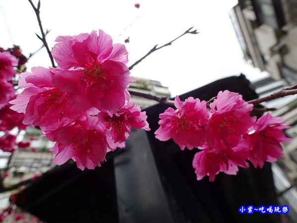 真芳碳烤吐司-信義店 (5).jpg