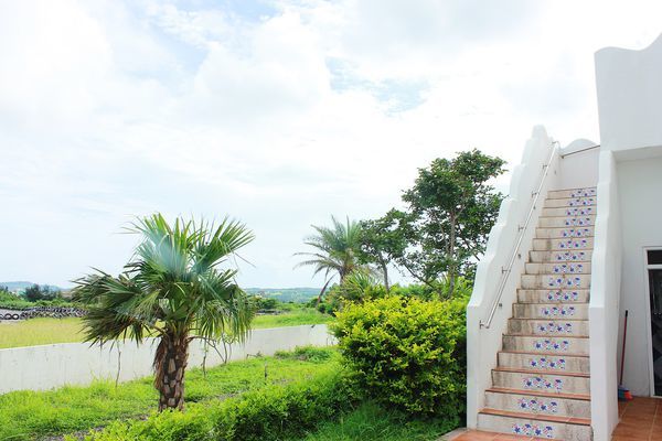 BF5958E4-6F0B-4A22-B561-50672B41AAD4.jpg BF5958E4-6F0B-4A22-B561-50672B41AAD4.jpg