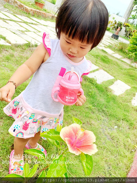 《屏東-恆春-墾丁》親子旅遊住宿/卡通主題房/童趣/玩具總動員/凱蒂貓/哆啦a夢-「小迷鹿 Cest La Vie Villa/新艾米亞 Emilia Villa」