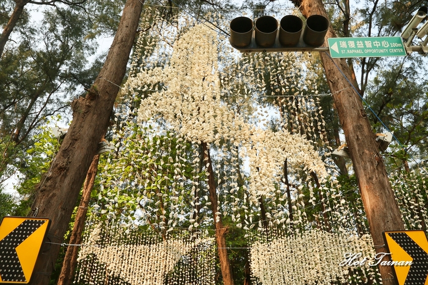 2019漁光島藝術節！網美們漁光島集合拍照了~ - 熱血玩台南。跳躍新世界