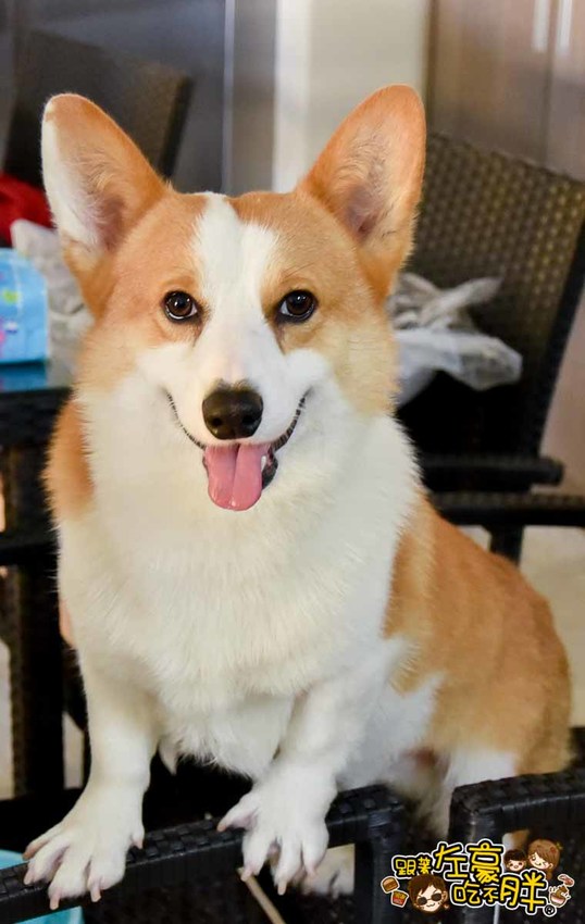 澎湖民宿(水映名宿)-5