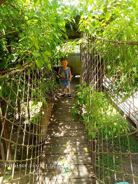 松林國小樹屋9.jpg