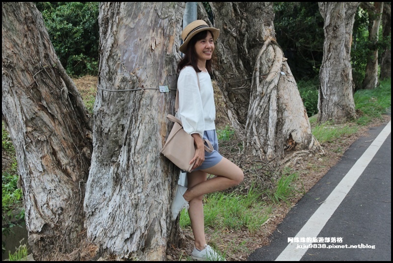 白千層步道6.JPG 白千層步道6.JPG