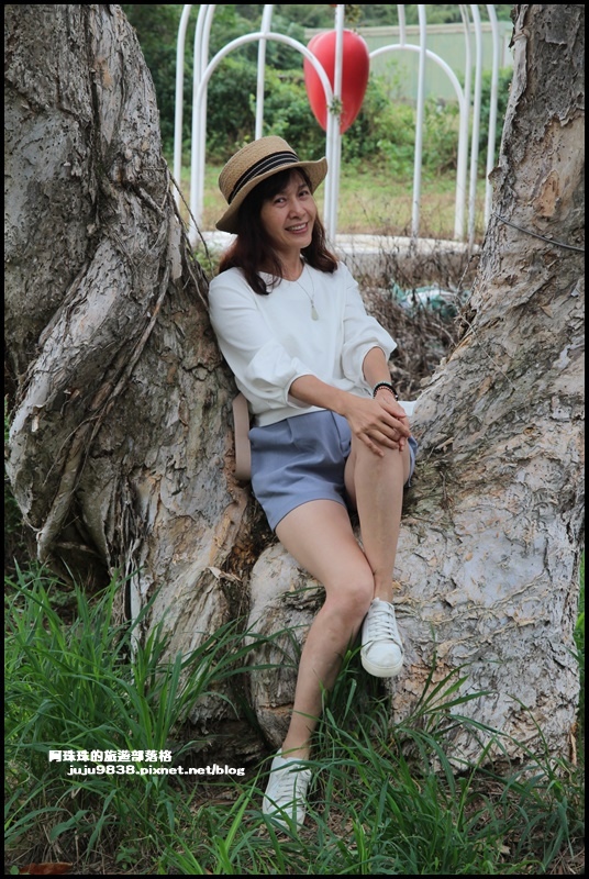 白千層步道4.JPG 白千層步道4.JPG