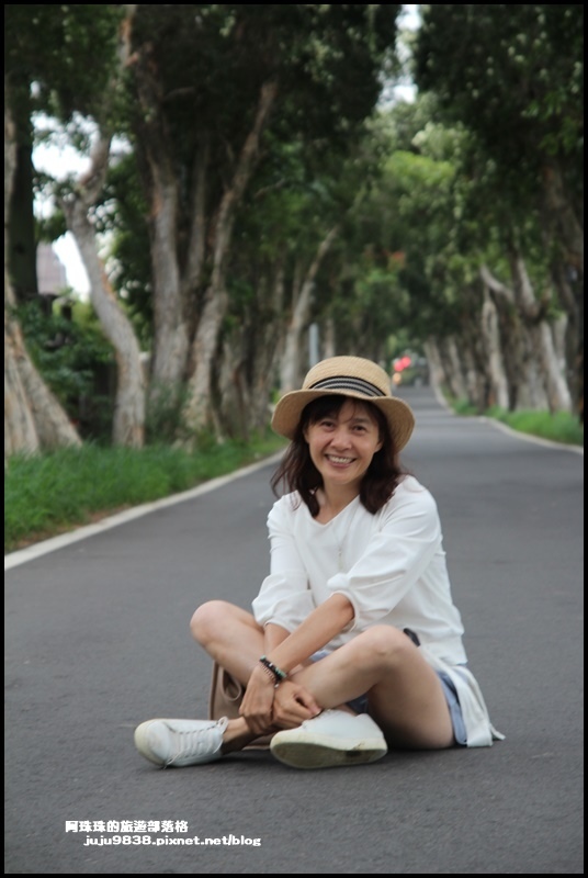 白千層步道19.JPG 白千層步道19.JPG