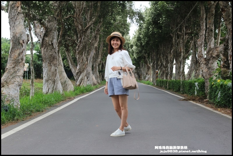 白千層步道2.JPG 白千層步道2.JPG