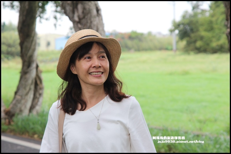 白千層步道12.JPG 白千層步道12.JPG