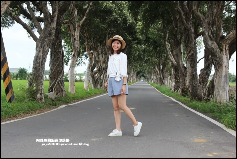 白千層步道17.JPG 白千層步道17.JPG