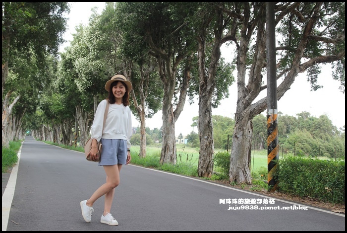 白千層步道8.JPG 白千層步道8.JPG