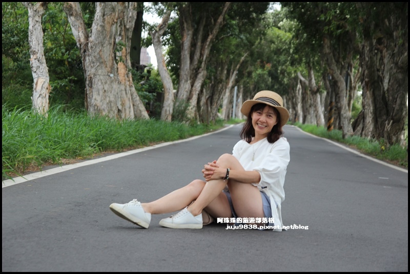 白千層步道24.JPG 白千層步道24.JPG