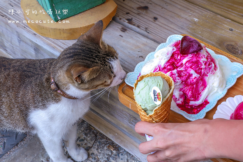 仙人掌冰淇淋,澎湖235掌上明珠,澎湖仙人掌冰,澎湖冰店,澎湖必吃,澎湖旅遊,澎湖美食,澎湖老街美食 @陳小可的吃喝玩樂