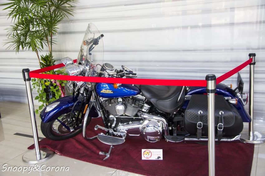 【住宿．嘉義】嘉義親子住宿／雲登景觀飯店～兒童賽車場、兒童遊戲室，還有270度超廣角無敵美景