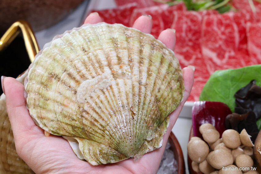 現撈活體波士頓龍蝦華麗上桌，打卡再送超巨帆立貝!台南最美麗的火鍋店「花花世界鍋物」台南聚餐推薦 @台南好Food遊