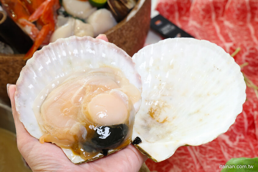 現撈活體波士頓龍蝦華麗上桌，打卡再送超巨帆立貝!台南最美麗的火鍋店「花花世界鍋物」台南聚餐推薦 @台南好Food遊