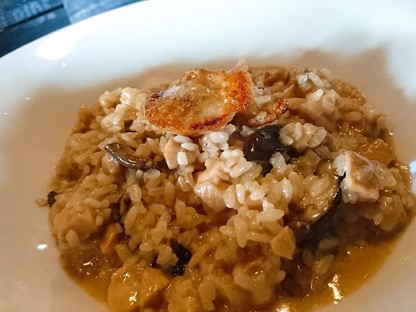 56490467_2348076405224035_9093672756184088576_n