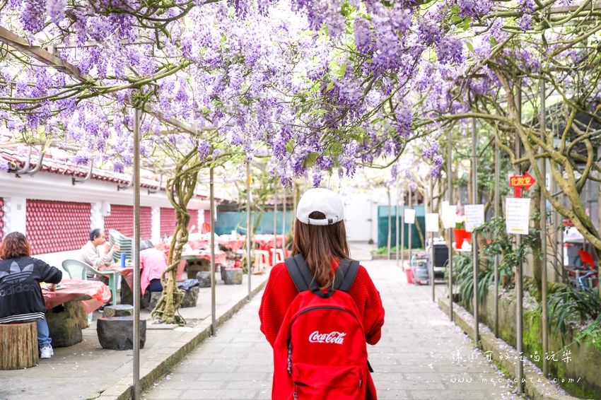 台北,台北紫藤花,台北美食,台北餐廳,紫藤花,陽明山,陽明山土雞,陽明山紫藤花,陽明山美食,陽明山餐廳,頂湖小鎮2020,頂湖小鎮紫藤花,頂湖小鎮菜單,頂湖小鎮餐廳 @陳小可的吃喝玩樂