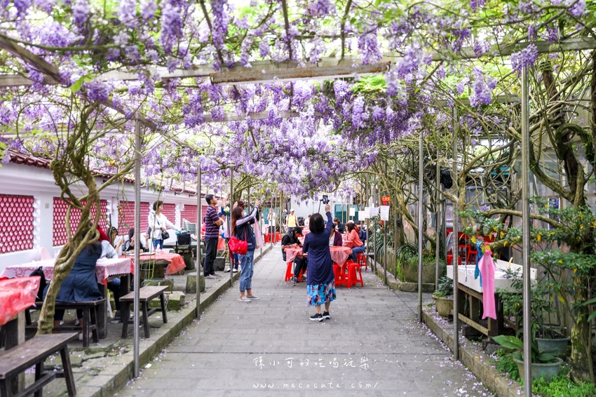 台北,台北紫藤花,台北美食,台北餐廳,紫藤花,陽明山,陽明山土雞,陽明山紫藤花,陽明山美食,陽明山餐廳,頂湖小鎮2020,頂湖小鎮紫藤花,頂湖小鎮菜單,頂湖小鎮餐廳 @陳小可的吃喝玩樂