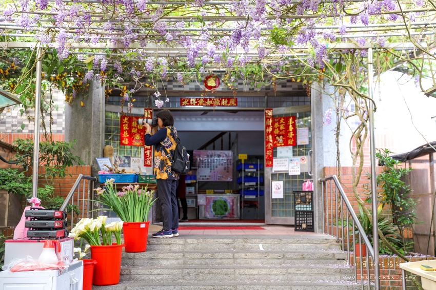 台北,台北紫藤花,台北美食,台北餐廳,紫藤花,陽明山,陽明山土雞,陽明山紫藤花,陽明山美食,陽明山餐廳,頂湖小鎮2020,頂湖小鎮紫藤花,頂湖小鎮菜單,頂湖小鎮餐廳 @陳小可的吃喝玩樂