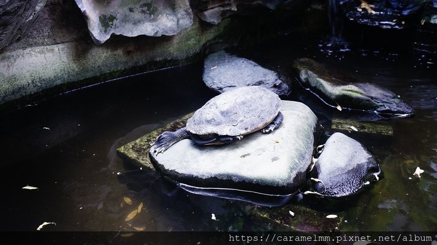 DSC01049.jpg DSC01049.jpg