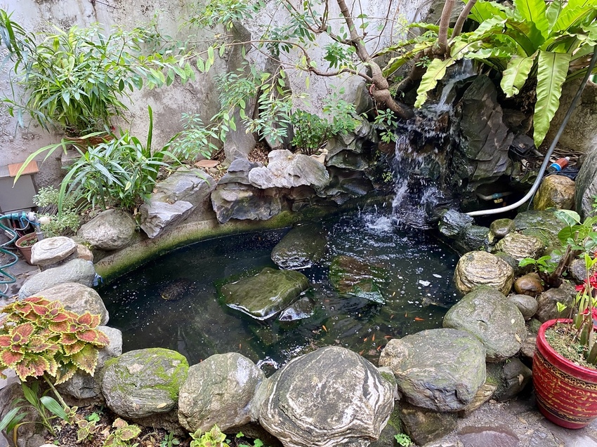 IMG_0808.HEIC IMG_0808.HEIC