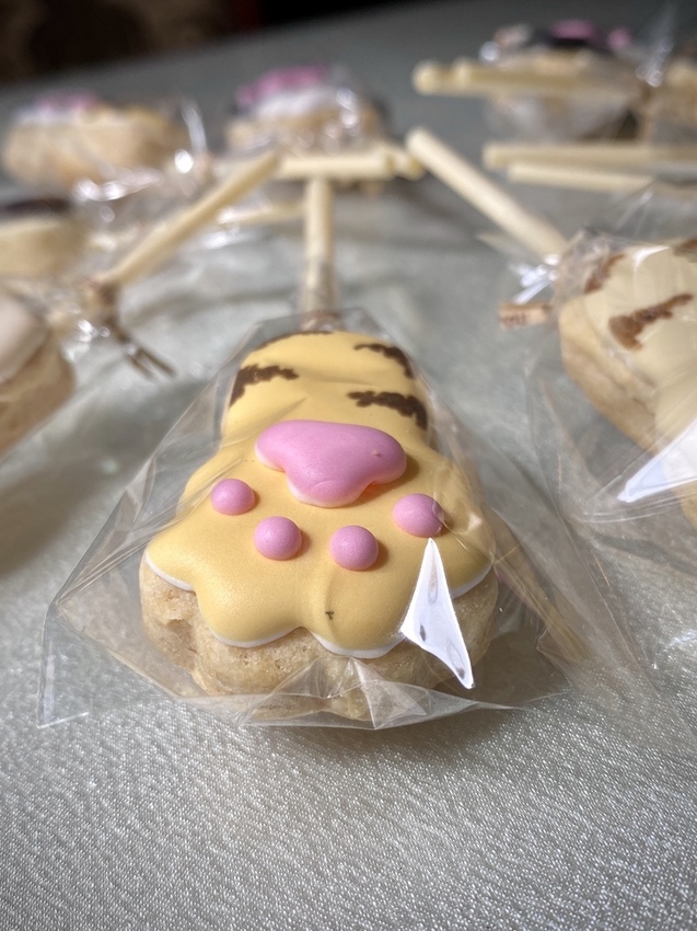 IMG_1385.HEIC IMG_1385.HEIC