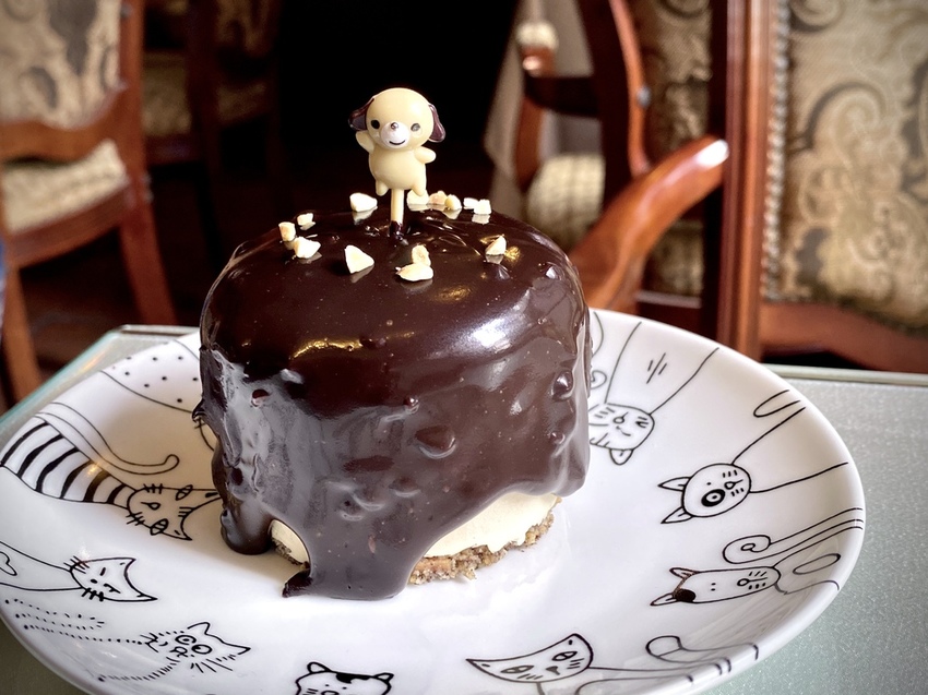 IMG_1913.HEIC IMG_1913.HEIC