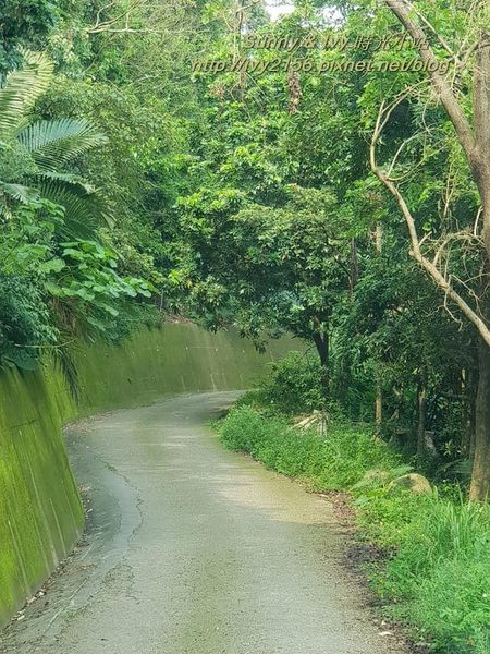 69539294_2266689163428265_333497085183655936_n.jpg 69539294_2266689163428265_333497085183655936_n.jpg