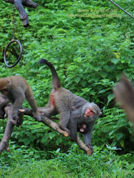 IMG_8935.jpg IMG_8935.jpg