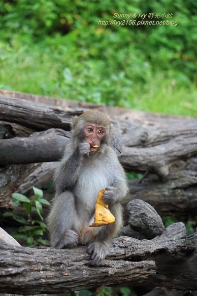 IMG_8991.jpg IMG_8991.jpg