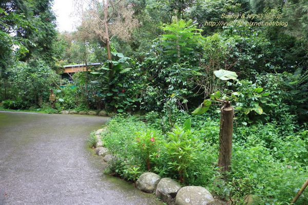 IMG_8993.jpg IMG_8993.jpg