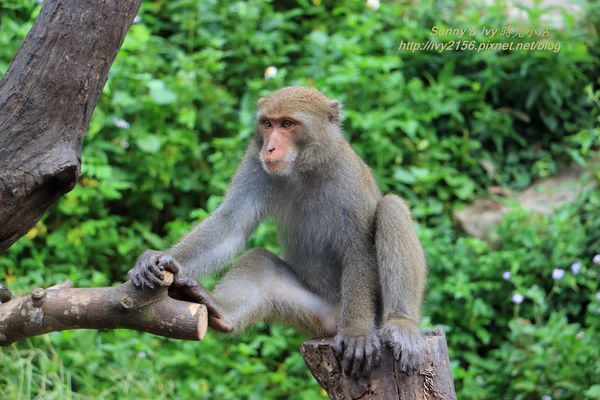 IMG_8937.jpg IMG_8937.jpg