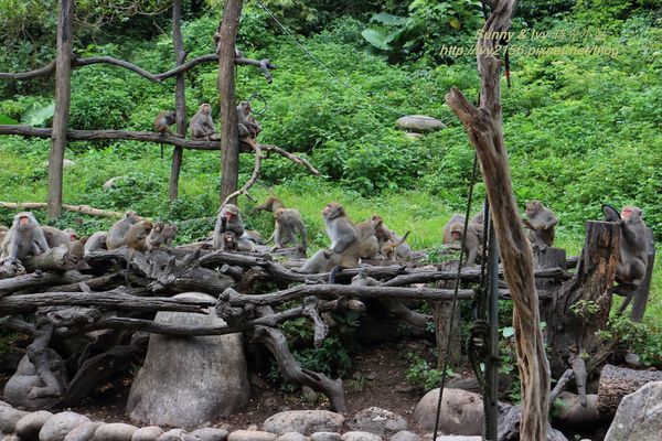 IMG_8950.jpg IMG_8950.jpg