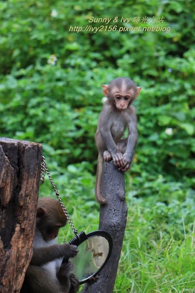 IMG_8948.jpg IMG_8948.jpg